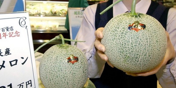 В Японии продали самые дорогие в мире дыни