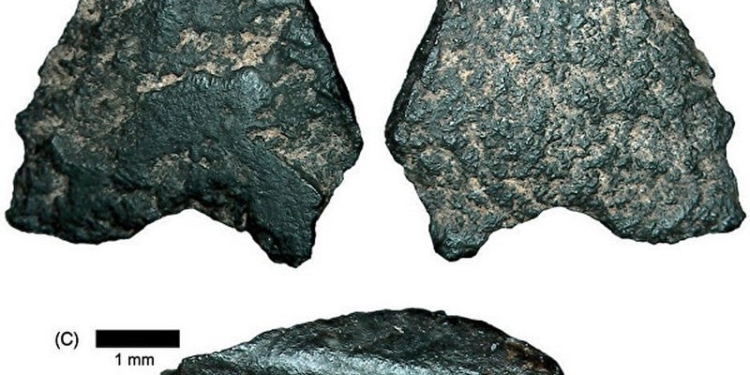 Самые первые “продвинутые” каменные топоры появились в Австралии, а не в Европе