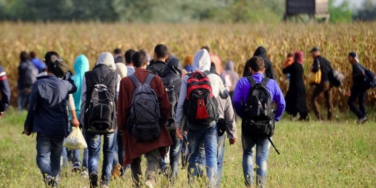 Европол отправит в Грецию и Италию агентов для вычисления террористов среди мигрантов