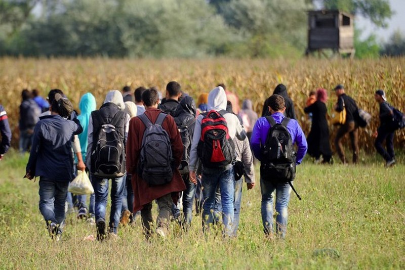 Европол отправит в Грецию и Италию агентов для вычисления террористов среди мигрантов 1
