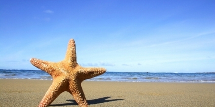 75% украинским туроператорам могут аннулировать лицензии на деятельность