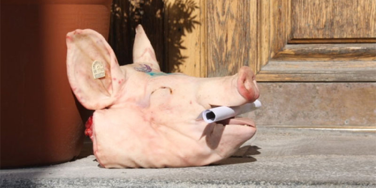 К приемной Меркель подкинули голову свиньи