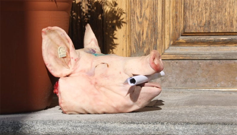 К приемной Меркель подкинули голову свиньи 1