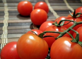 Николаевский томатный холдинг Agrofusion получит $10 млн от Всемирного банка