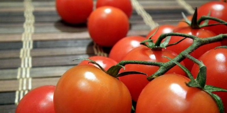 Николаевский томатный холдинг Agrofusion получит $10 млн от Всемирного банка