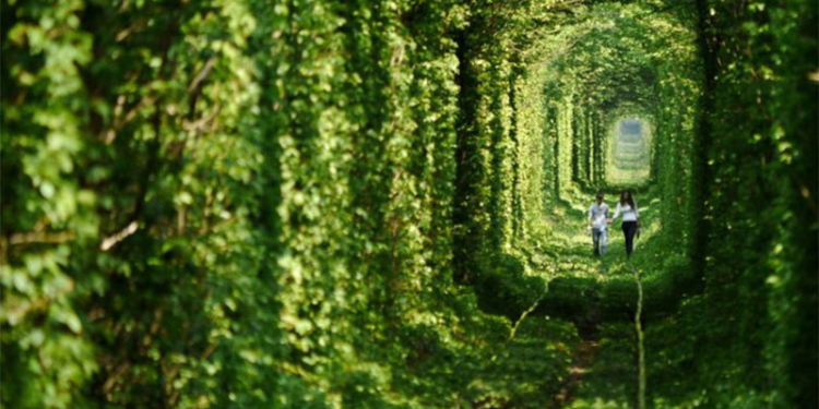 Чары туннеля любви