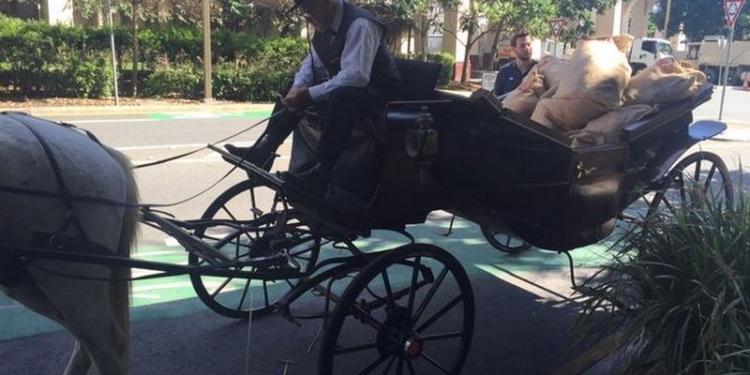 Троллинг в стиле ретро: Uber доставил 15 тысяч электронных писем на повозке с упряжкой