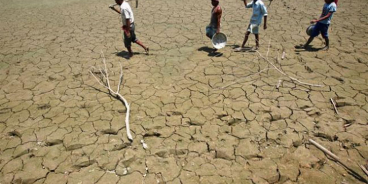 Власти Индии намерены реализовать проект по переброске стока крупных рек в засушливые районы
