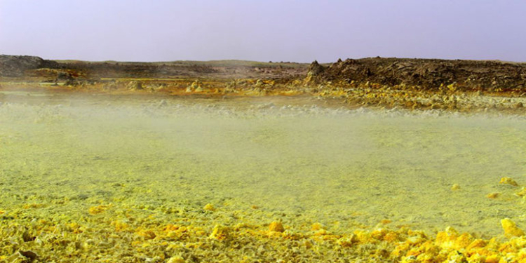 На Земле не осталось мест, не тронутых человеком