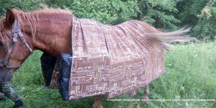 Не есаул: в Черновицкой области контрабандист бросил коня с грузом сигарет