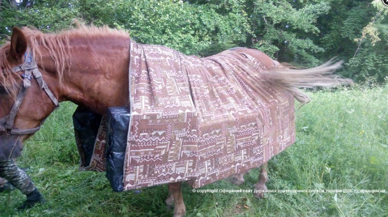 Не есаул: в Черновицкой области контрабандист бросил коня с грузом сигарет 3