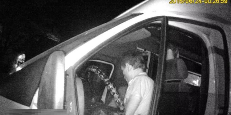 В Николаеве выявлен очередной нетрезвый маршрутчик, который к тому же перевозил пассажиров без прав