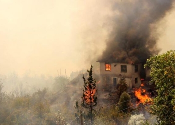 Лесные пожары в окрестностях Анталии: власть эвакуирует несколько курортов