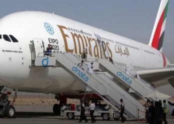 В багажном отсеке эмиратского Airbus A380 нашли неожиданный живой груз