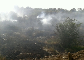 Пожар на свалке под Николаевом мог произойти случайно или из-за поджога, – ГосЧС (ОБНОВЛЕНО)