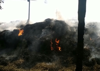 В Новом Буге сгорело несколько тонн сена