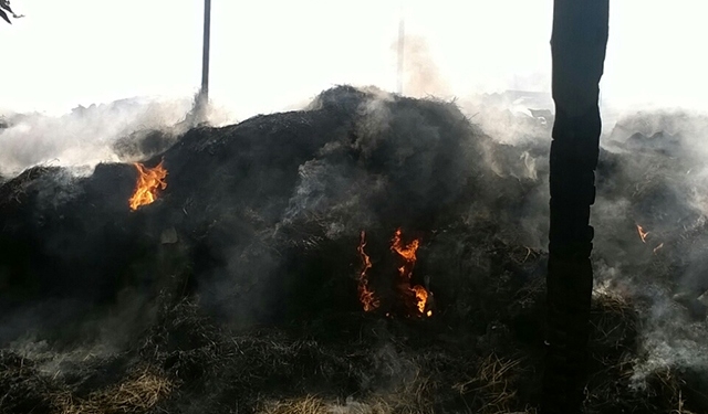 В Новом Буге сгорело несколько тонн сена