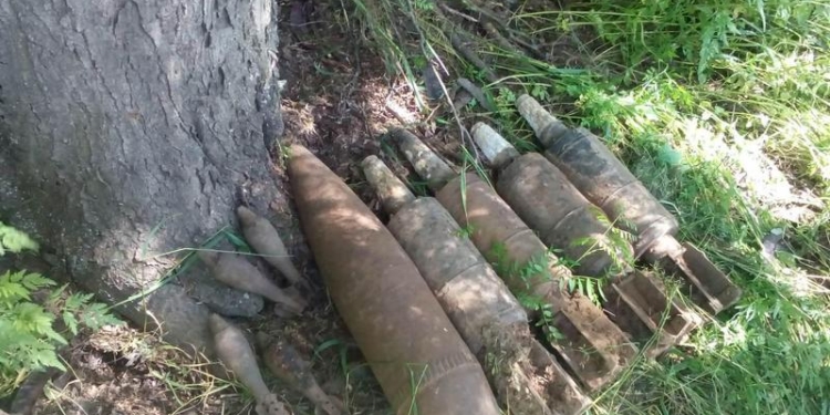 Николаевские спасатели обезвредили 11 боеприпасов