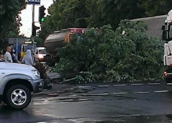 В Волынской области непогода оставила без электричества 55 населенных пунктов