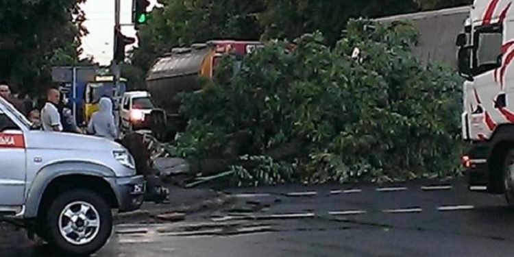 В Волынской области непогода оставила без электричества 55 населенных пунктов