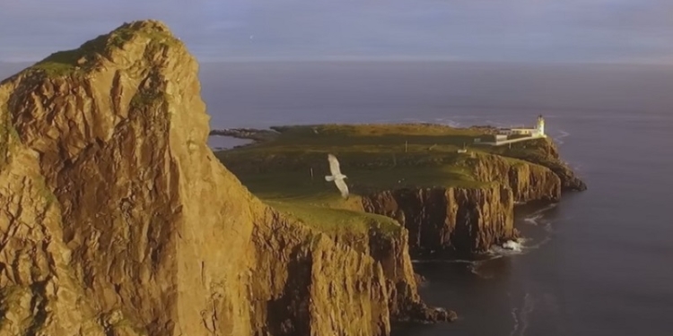 Снято дронами. В Нью-Йорке показали настоящее мастерство беспилотного кинематографа