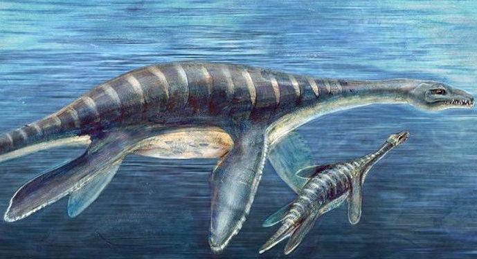 На картах Google Earth разглядели огромное «чудовище»