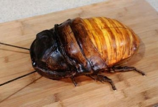 Зачем?! Американская кулинарная художница выложила рецепт торта-таракана