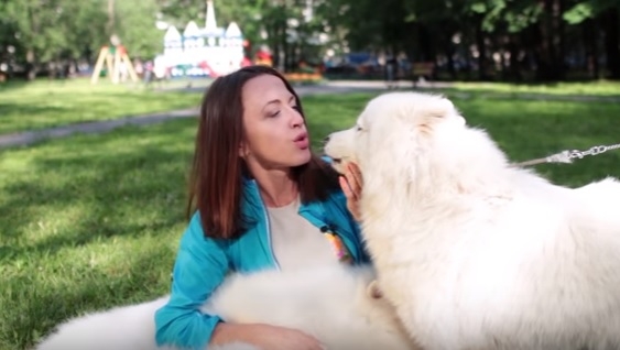 Звери «Х»: наши любимые мутанты. Интересные породы собак и кошек