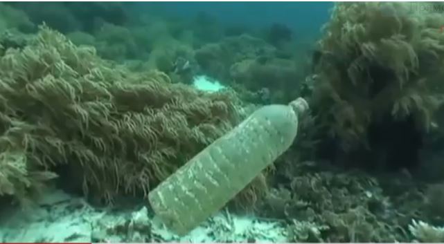 Уникальное изобретение может за несколько лет очистить Мировой океан от пластика 1