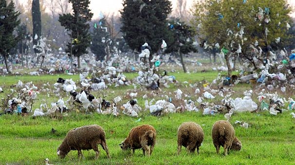 Сегодня Франция вводит запрет на полиэтиленовые пакеты. И не только она против
