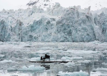 Арктическая элегия: композитор сыграл на рояле в Северном ледовитом океане