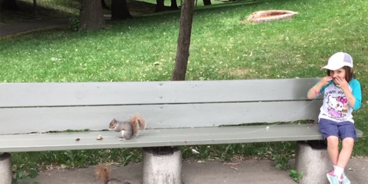 Белка-стоматолог вырывает молочный зуб девочке