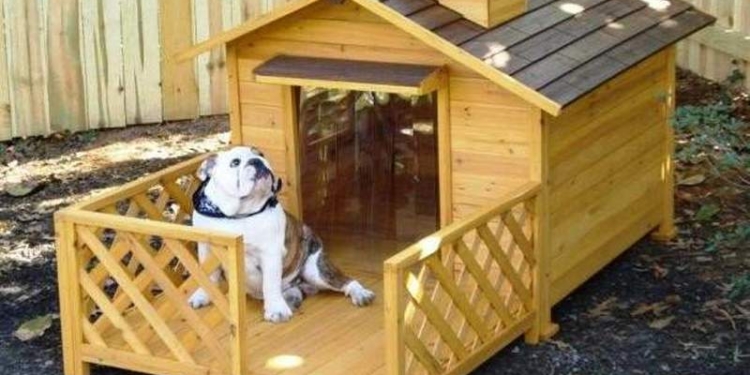 Семь шикарных будок, которым могут позавидовать не только собаки