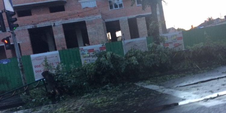 Ураган в Луцке валил деревья и сорвал крышу дома