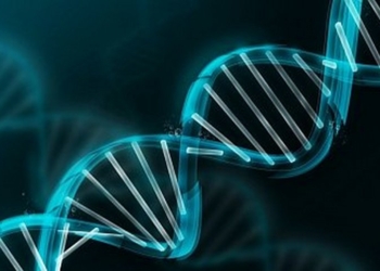 Генетикам в США разрешили модифицировать геном человека