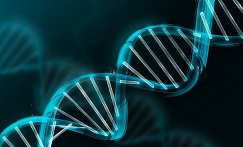 Генетикам в США разрешили модифицировать геном человека 1