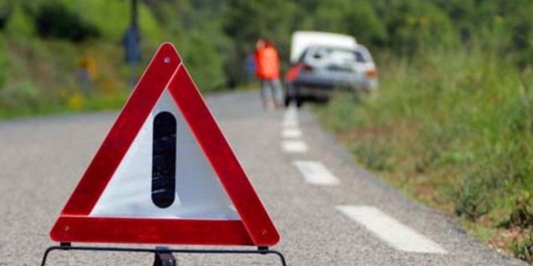 В Ивано-Франковской области водитель ВАЗа сбил сразу пятерых детей, которые шли по обочине