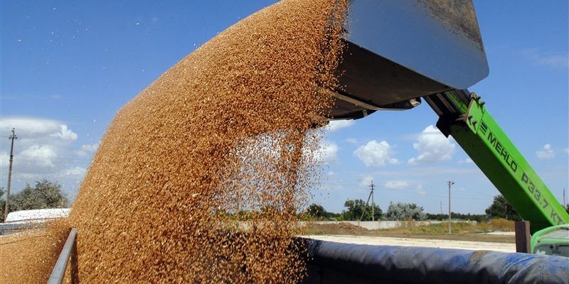 Україна у 2023 році збере вдвічі менше зерна, ніж до війни
