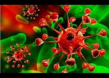 Вирусологи назвали предварительную причину кишечной инфекции в Измаиле