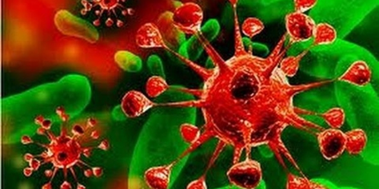 Вирусологи назвали предварительную причину кишечной инфекции в Измаиле