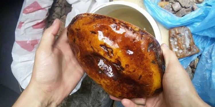 Искали алкоголь – нашли рекордный самородок янтаря