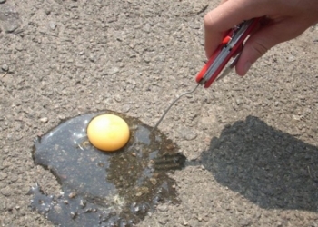 Жара везде: американцы жарят стейки на асфальте и пекут печенье в салонах авто