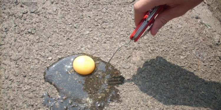 Жара везде: американцы жарят стейки на асфальте и пекут печенье в салонах авто