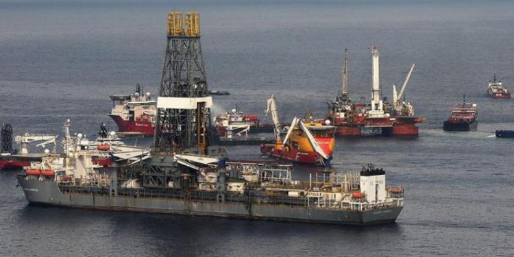 Украина, Турция и Грузия пересчитают рыбу в Черном море