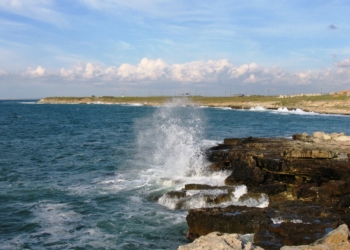 В Крыму вылили в Черное море 8 тонн мазута