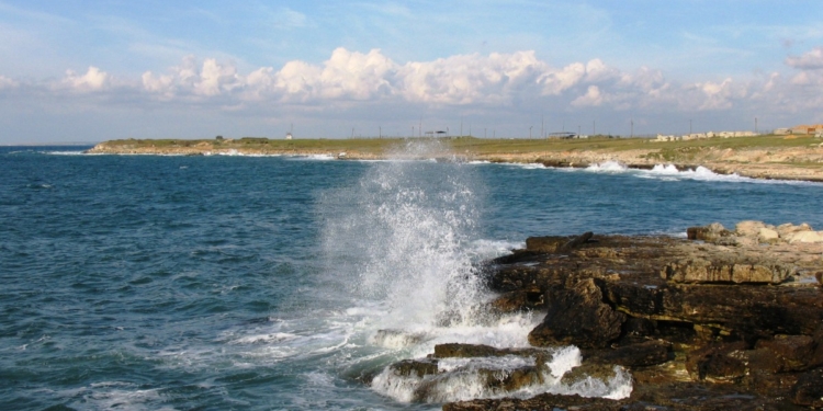 В Крыму вылили в Черное море 8 тонн мазута