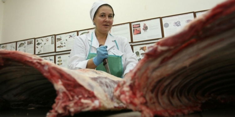 Украине поступило предложение поставлять свинину на рынок ЮАР