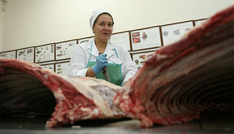 Украине поступило предложение поставлять свинину на рынок ЮАР 1