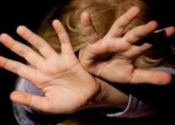 Пять жалоб на педофилию  – не повод для увольнения учителя, считает начальник департамента образования Николаевской ОГА