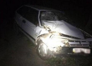 Во Львовской области грузовик травмировал 4 полицейских, оформлявших ДТП